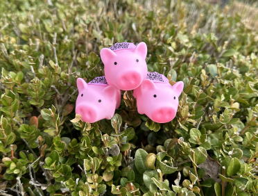 3 toy pigs